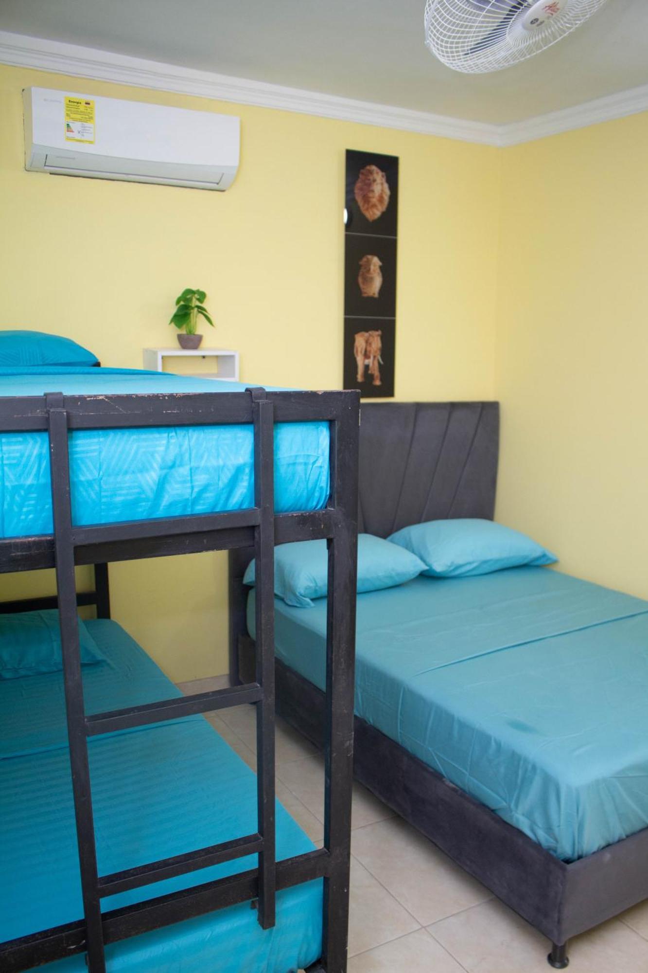 Comfort House